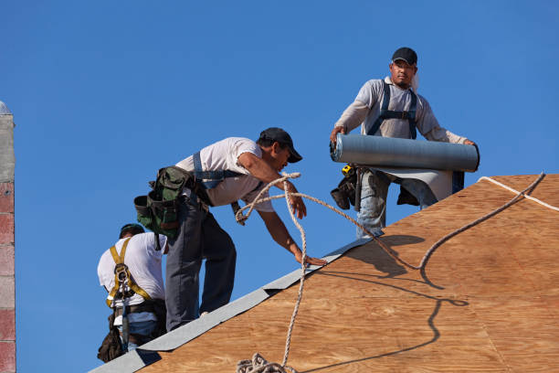 Roof Gutter Cleaning in Seven Hills, OH